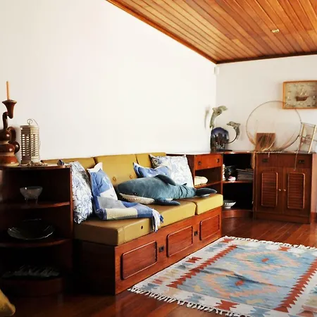 House Of Joy Beach&garden